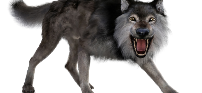 Return of the Dire Wolf: How Genetic Engineering Resurrected an Ice Age Predator