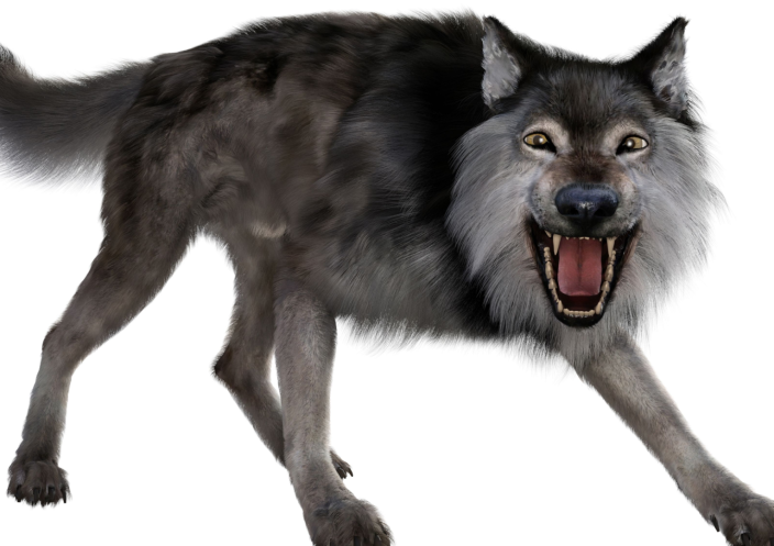 Return of the Dire Wolf: How Genetic Engineering Resurrected an Ice Age Predator
