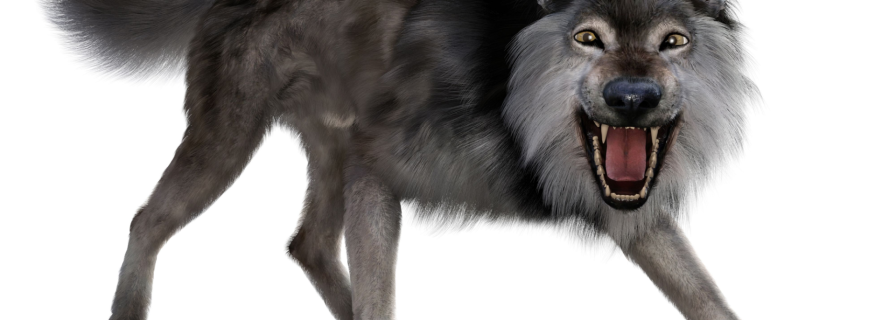 Return of the Dire Wolf: How Genetic Engineering Resurrected an Ice Age Predator